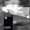 Robot Koch & Ian Urbina - Albatross (Inspired by ‘The Outlaw Ocean’ a book by Ian Urbina) - EP