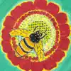 Anju - Honeybee - Single